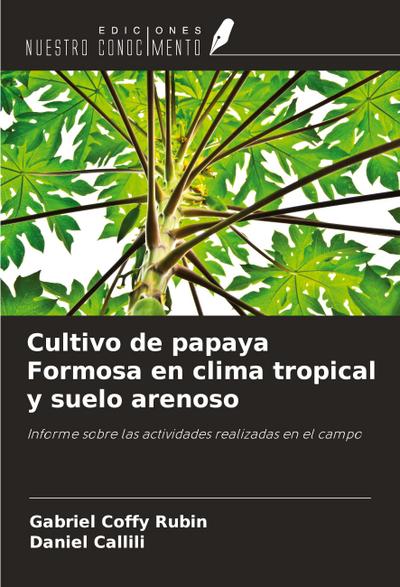 Cultivo de papaya Formosa en clima tropical y suelo arenoso