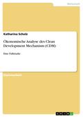 Ökonomische Analyse des Clean Development Mechanism (CDM) - Katharina Scholz