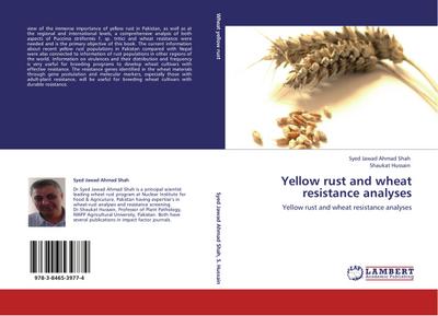 Yellow rust and wheat resistance analyses