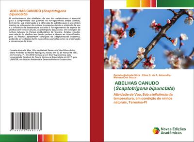 ABELHAS CANUDO (Scaptotrigona bipunctata)