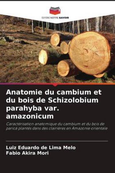 Anatomie du cambium et du bois de Schizolobium parahyba var. amazonicum