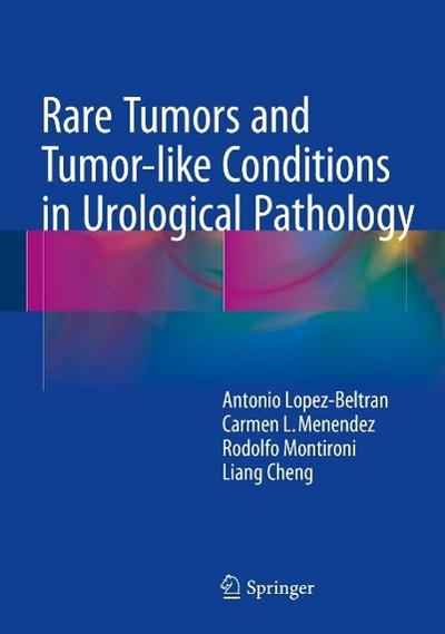 Rare Tumors and Tumor-like Conditions in Urological Pathology