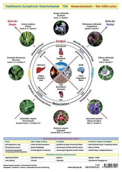 Wandtafel Traditionelle Europäische Naturheilkunde TEN