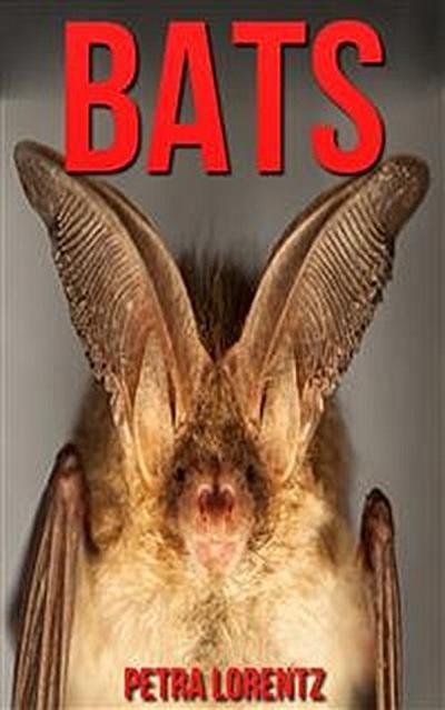 Bats