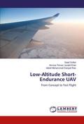 Low-Altitude Short-Endurance UAV
