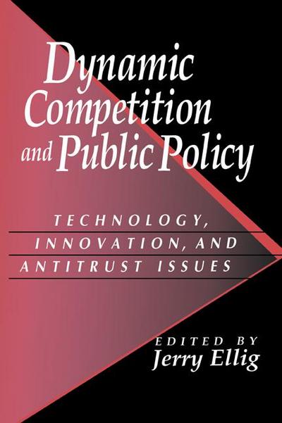 Dynamic Competition and Public Policy