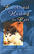 Emotional Healing For Cats