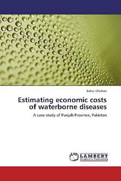 Estimating economic costs of waterborne diseases