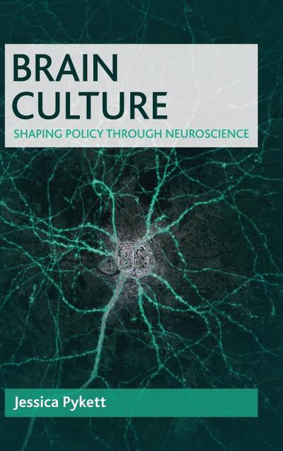 Brain culture