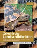 Griechische Landschildkröten: Testudo hermanni her ...