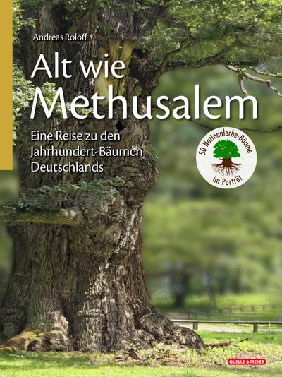 Alt wie Methusalem - Eine Reise zu den Jahrhundert-Bäumen Deutschlands