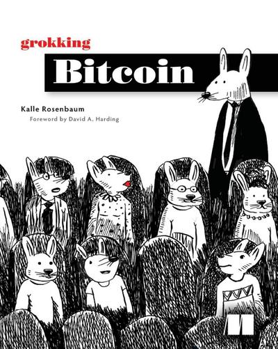 Grokking Bitcoin