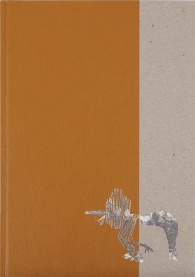 Diplodoclus 2014-2021