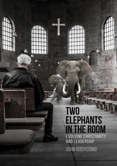 Two Elephants in the Room (eBook, EPUB) - John Bodycomb