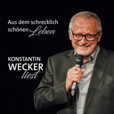 Aus dem schrecklich schönen Leben