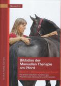 Bildatlas der Manuellen Therapie am Pferd 2 - Wirbelsäule und Rumpf