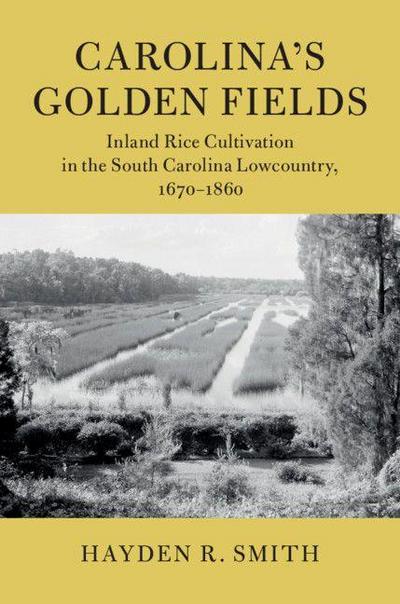 Carolina’s Golden Fields