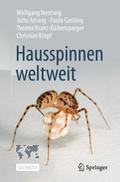 Hausspinnen weltweit