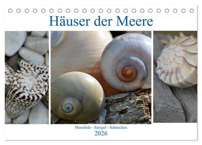 Häuser der Meere: Muscheln - Seeigel - Schnecken (Tischkalender 2026 DIN A5 quer), CALVENDO Monatskalender