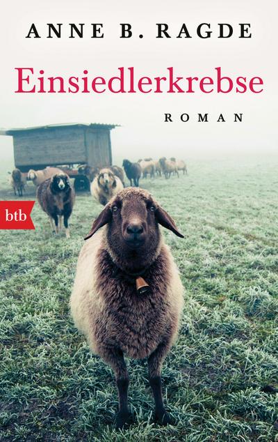 Einsiedlerkrebse