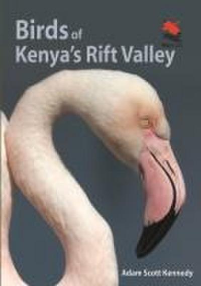 Birds of Kenya’s Rift Valley