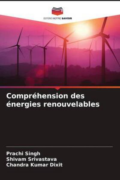 Compréhension des énergies renouvelables