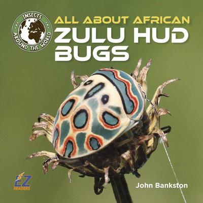 All about African Zulu HUD Bugs