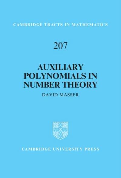 Auxiliary Polynomials in Number Theory