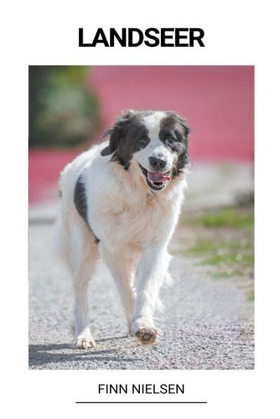 Nielsen, F: Landseer