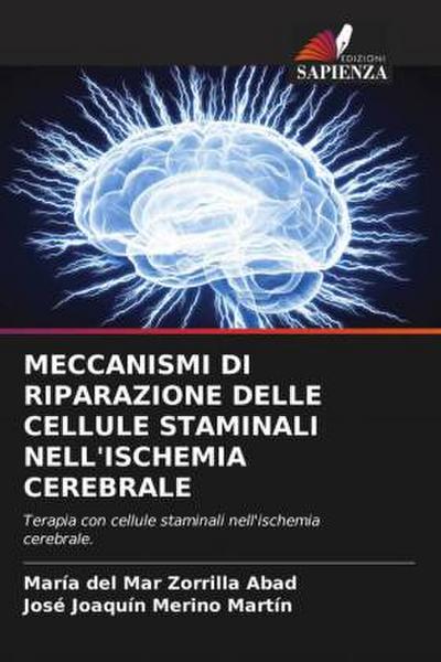 MECCANISMI DI RIPARAZIONE DELLE CELLULE STAMINALI NELL’ISCHEMIA CEREBRALE