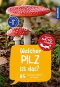 Welcher Pilz ist das?