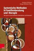 Systemische Methoden in Familienberatung und -ther
