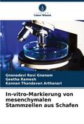 In-vitro-Markierung von mesenchymalen Stammzellen 