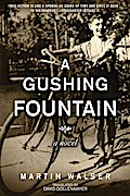 A Gushing Fountain
