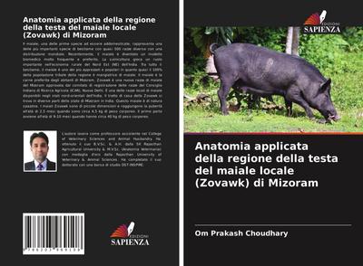 Anatomia applicata della regione della testa del maiale locale (Zovawk) di Mizoram