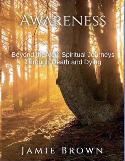Brown, J: Awareness. Beyond The Veil