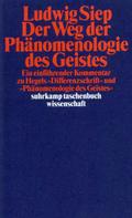 Der Weg der ’Phänomenologie des Geistes’
