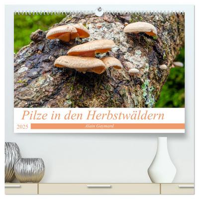 Pilze in den Herbstwäldern (hochwertiger Premium Wandkalender 2025 DIN A2 quer), Kunstdruck in Hochglanz