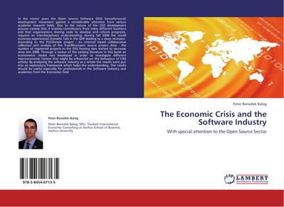The Economic Crisis and the Software Industry