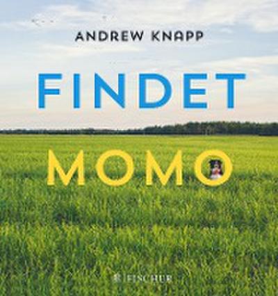 Andrew, K: Findet Momo