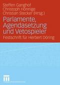 Parlamente, Agendasetzung und Vetospieler
