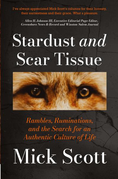 Stardust and Scar Tissue