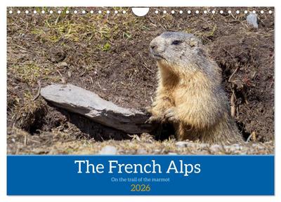 The French Alps, on the trail of the marmot (Wall Calendar 2026 DIN A4 landscape), CALVENDO 12 Month Wall Calendar