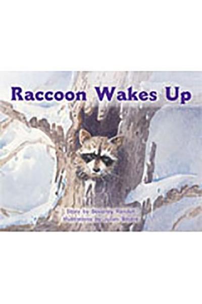 RACCOON WAKES UP