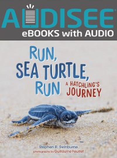Run, Sea Turtle, Run