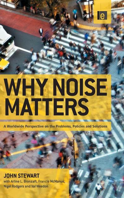 Why Noise Matters