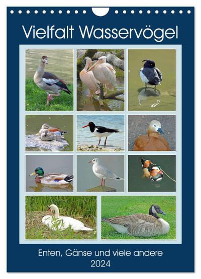 Vielfalt Wasservögel (Wandkalender 2024 DIN A4 hoch), CALVENDO Monatskalender