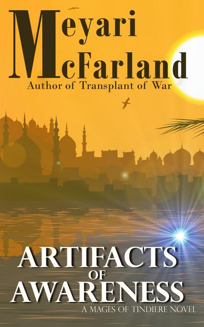 Artifacts of Awareness