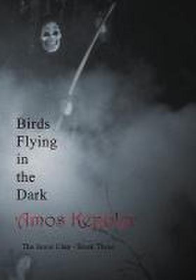 Birds Flying in the Dark