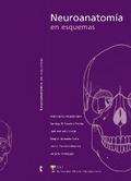 Neuroanatomía en esquemas